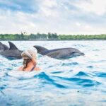 Maecenas nec odio et ante tincidunt