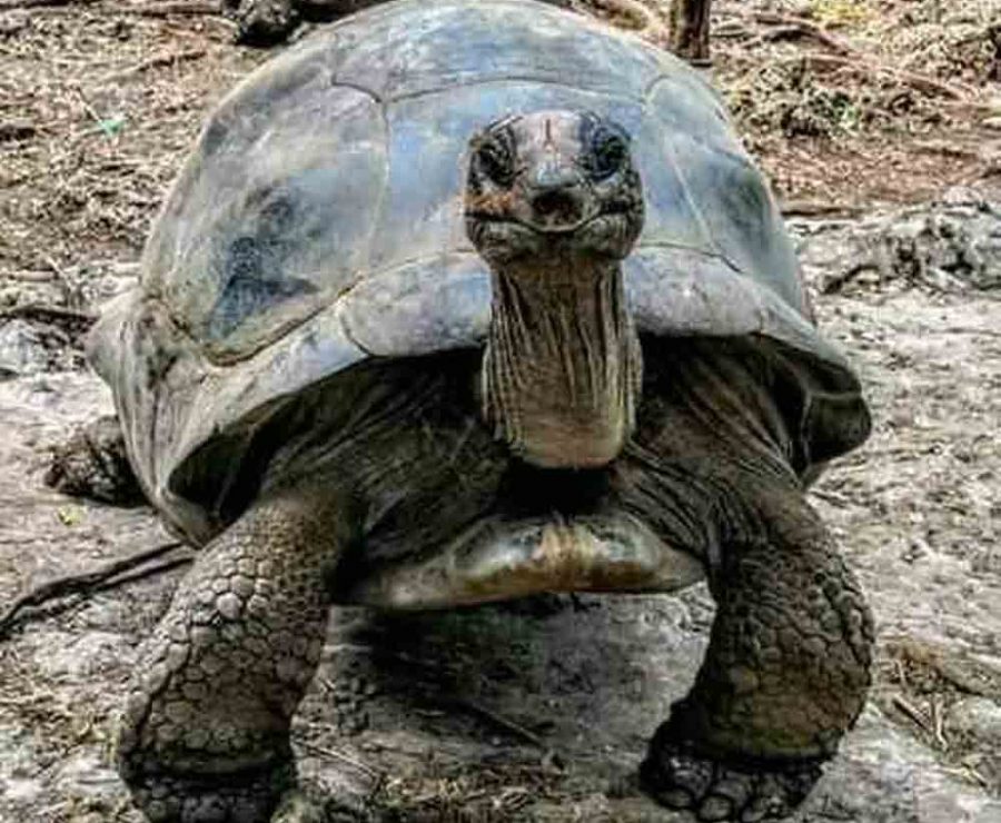 Zubeir Tour & Safaris